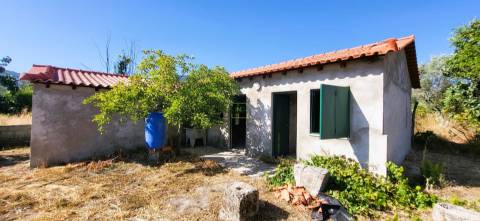 Quinta - 6140m2 - Louriçal do Campo