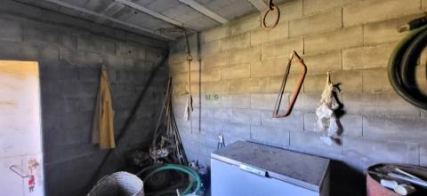 Quinta - 6140m2 - Louriçal do Campo