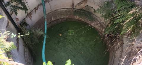 Quinta - 6140m2 - Louriçal do Campo