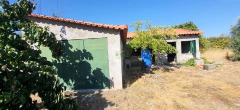 Quinta - 6140m2 - Louriçal do Campo