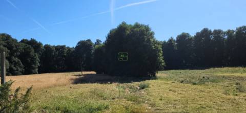 Quinta - 6140m2 - Louriçal do Campo