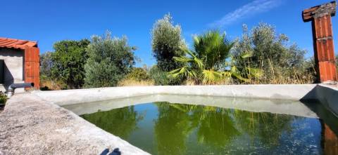 Quinta - 6140m2 - Louriçal do Campo