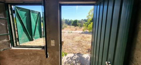 Quinta - 6140m2 - Louriçal do Campo