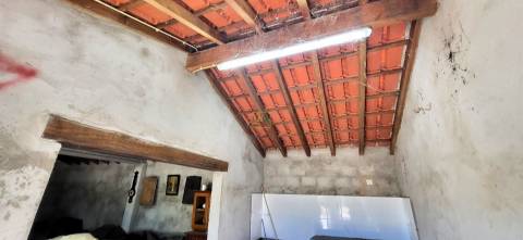 Quinta - 6140m2 - Louriçal do Campo