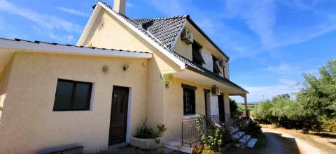 Moradia Isolada V4 - Piscina - Terreno 6000m2 - Castelo Branco