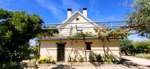 Moradia Isolada V4 - Piscina - Terreno 6000m2 - Castelo Branco