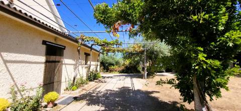 Moradia Isolada V4 - Piscina - Terreno 6000m2 - Castelo Branco