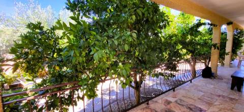 Moradia Isolada V4 - Piscina - Terreno 6000m2 - Castelo Branco