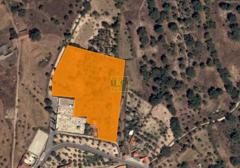 Terreno Rústico na Aldeia das Águas Penamacor.