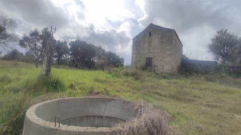 Terreno Rústico na Aldeia das Águas Penamacor.