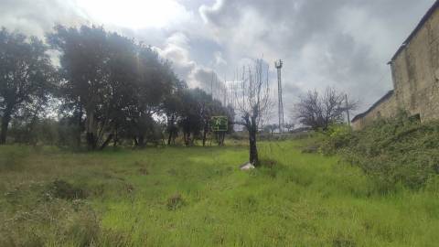 Terreno Rústico na Aldeia das Águas Penamacor.