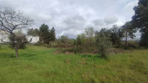 Terreno Rústico na Aldeia das Águas Penamacor.