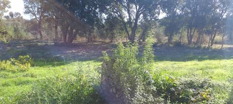 Terreno Rústico na Aldeia das Águas Penamacor.
