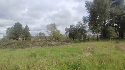 Terreno Rústico na Aldeia das Águas Penamacor.