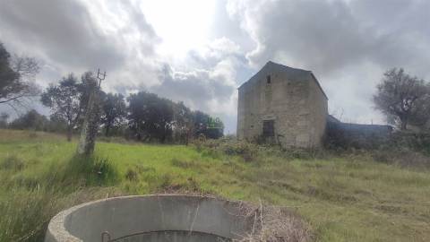 Terreno Rústico na Aldeia das Águas Penamacor.