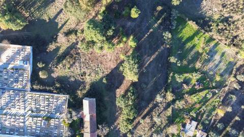 Terreno Rústico na Aldeia das Águas Penamacor.