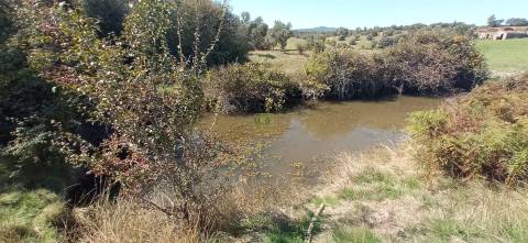 Herdade Rustica em Penamacor