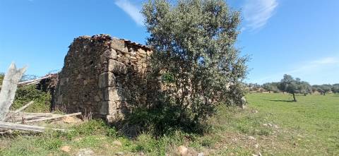 Herdade Rustica em Penamacor