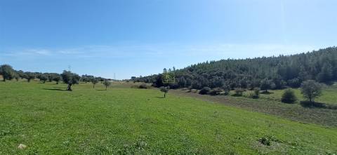 Herdade Rustica em Penamacor