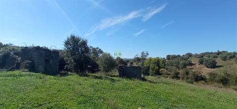 Herdade Rustica em Penamacor