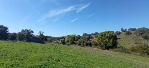 Herdade Rustica em Penamacor