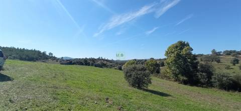 Herdade Rustica em Penamacor