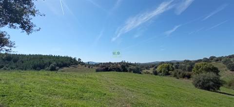 Herdade Rustica em Penamacor