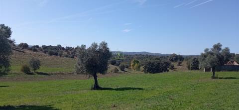 Herdade Rustica em Penamacor