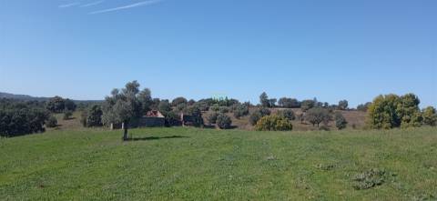 Herdade Rustica em Penamacor