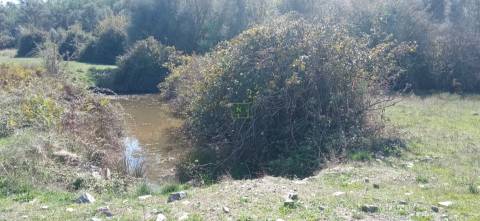 Herdade Rustica em Penamacor