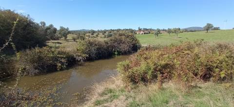 Herdade Rustica em Penamacor