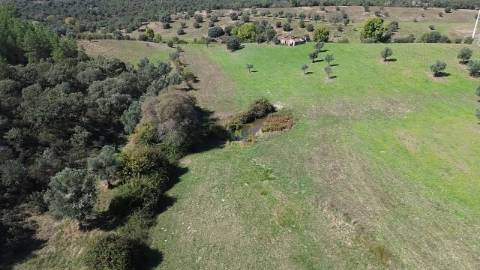 Herdade Rustica em Penamacor