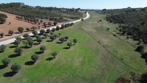 Herdade Rustica em Penamacor