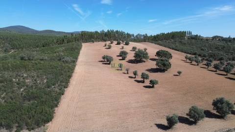 Herdade Rustica em Penamacor