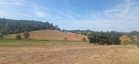 Herdade Rustica em Penamacor