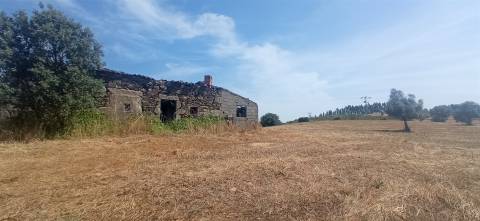 Herdade Rustica em Penamacor