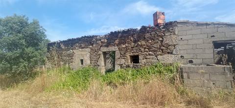 Herdade Rustica em Penamacor