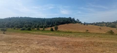 Herdade Rustica em Penamacor