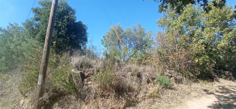 Terreno rústico em Aranhas Penamacor
