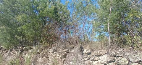 Terreno rústico em Aranhas Penamacor