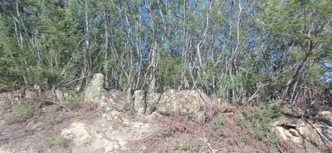 Terreno rústico em Aranhas Penamacor