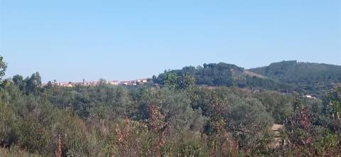 Terreno rústico em Aranhas Penamacor