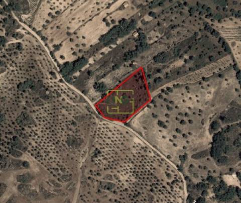 Terreno rústico em Aranhas Penamacor