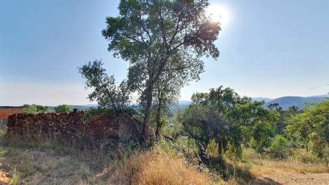 Quinta T0 para venda, em Juncal do Campo com 3720m2, ruina e dois poços