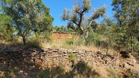 Quinta T0 para venda, em Juncal do Campo com 3720m2, ruina e dois poços
