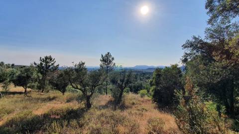 Quinta T0 para venda, em Juncal do Campo com 3720m2, ruina e dois poços