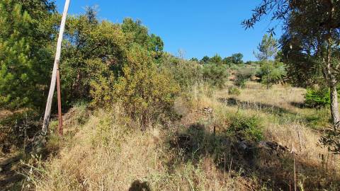 Quinta T0 para venda, em Juncal do Campo com 3720m2, ruina e dois poços