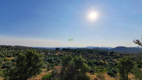 Quinta T0 para venda, em Juncal do Campo com 3720m2, ruina e dois poços