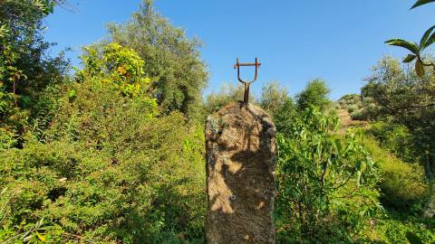 Quinta T0 para venda, em Juncal do Campo com 3720m2, ruina e dois poços