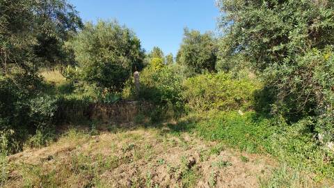 Quinta T0 para venda, em Juncal do Campo com 3720m2, ruina e dois poços